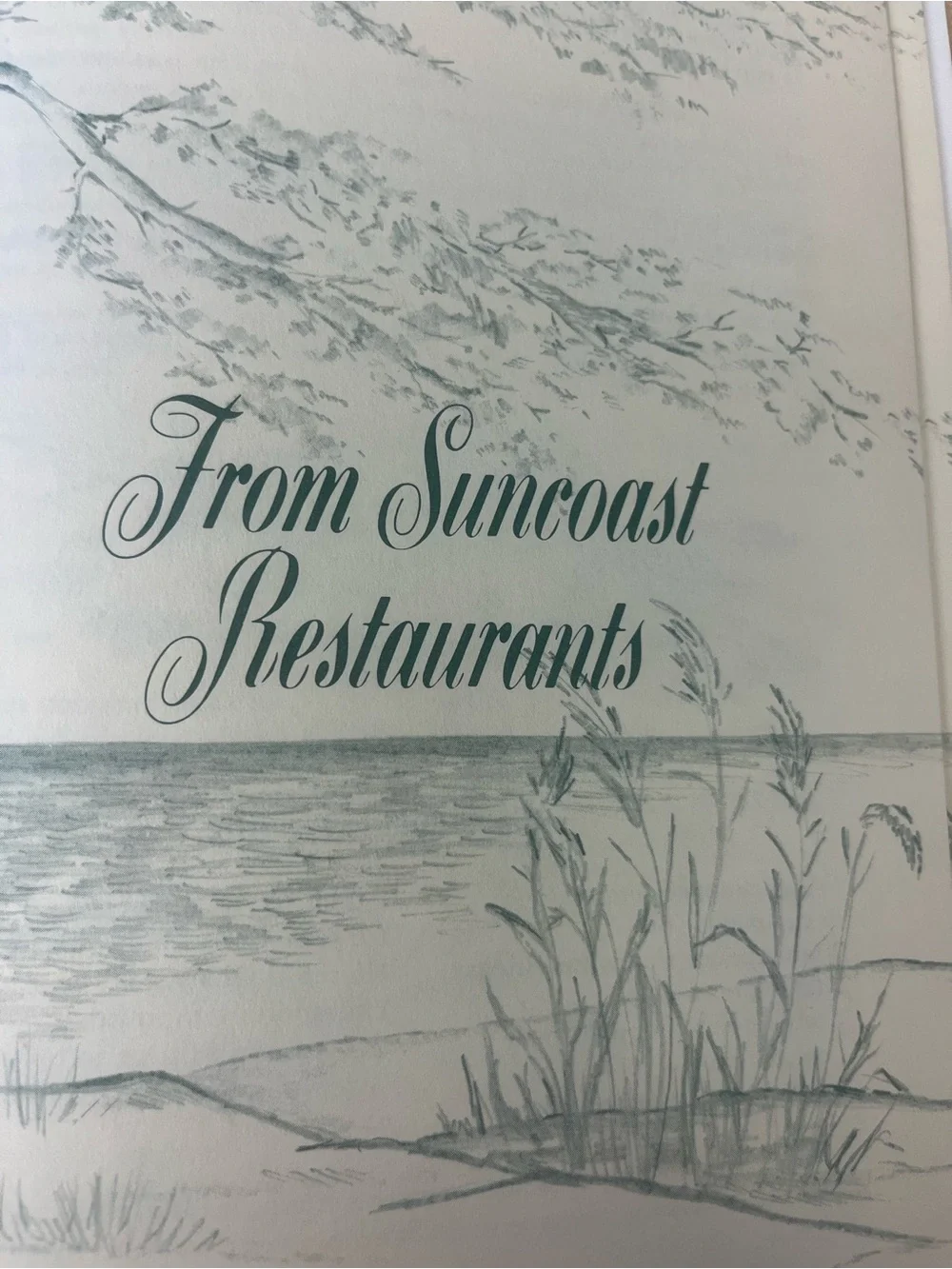Suncoast Seasons Cookbook 1984 1st Print Vintage Florida Dunedin Recipes Spiral